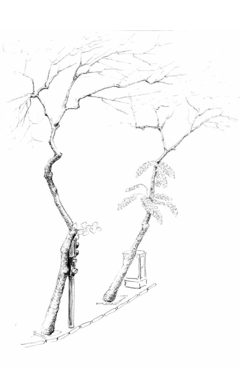 giọng của phố - Ảnh 8