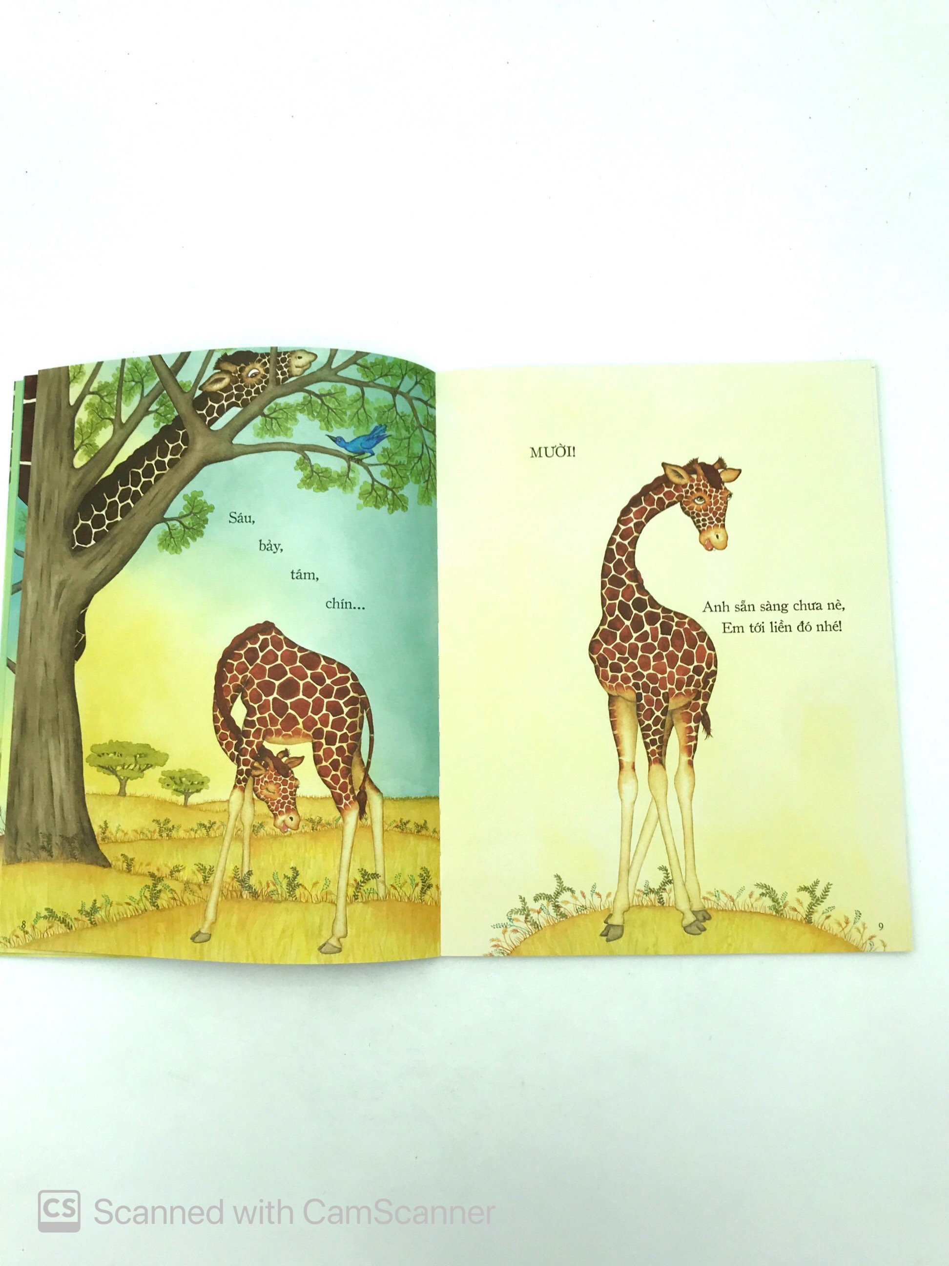 giống hệt như anh cả - Ảnh 4