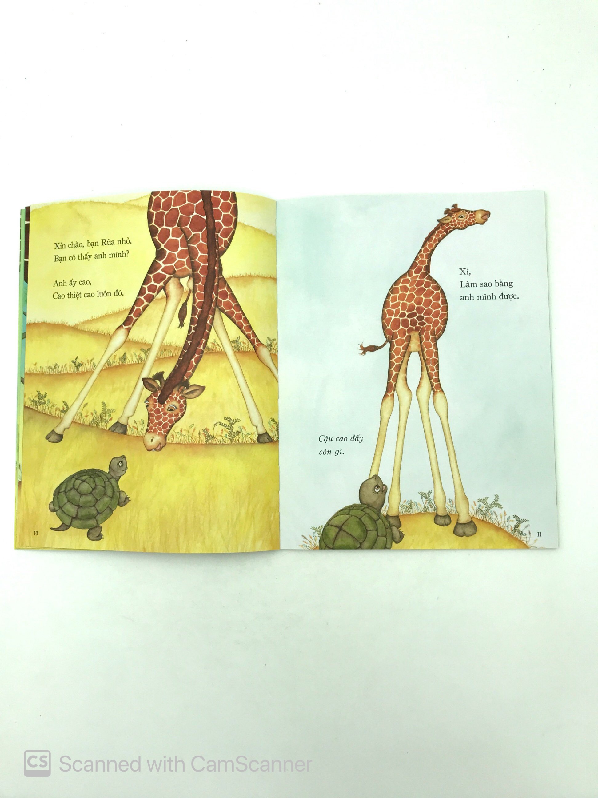 giống hệt như anh cả - Ảnh 5