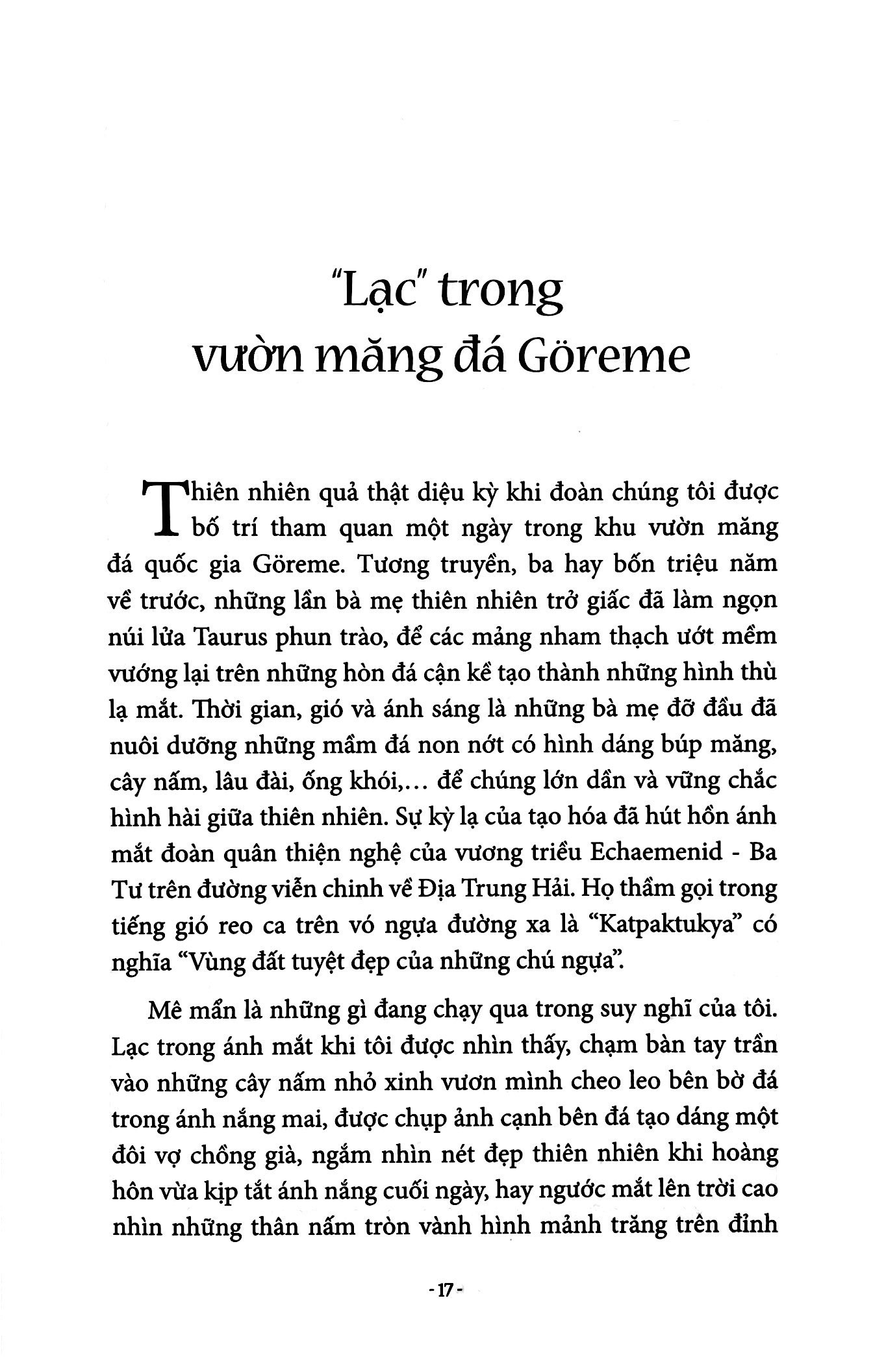 giọt cà phê thơm ottoman - Ảnh 18