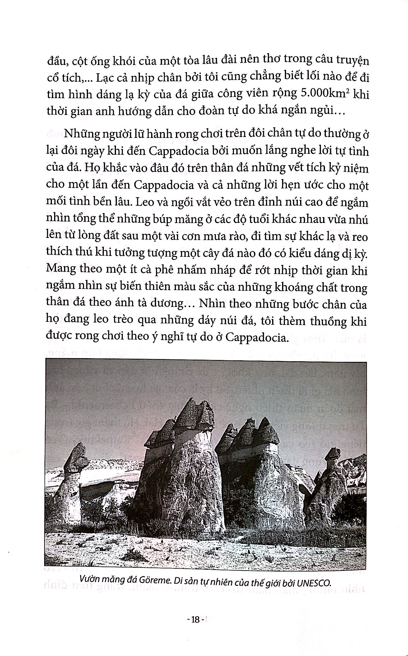 giọt cà phê thơm ottoman - Ảnh 21