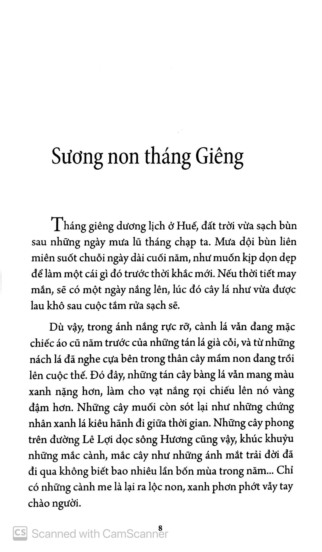 giọt mực của mưa huế - Ảnh 9
