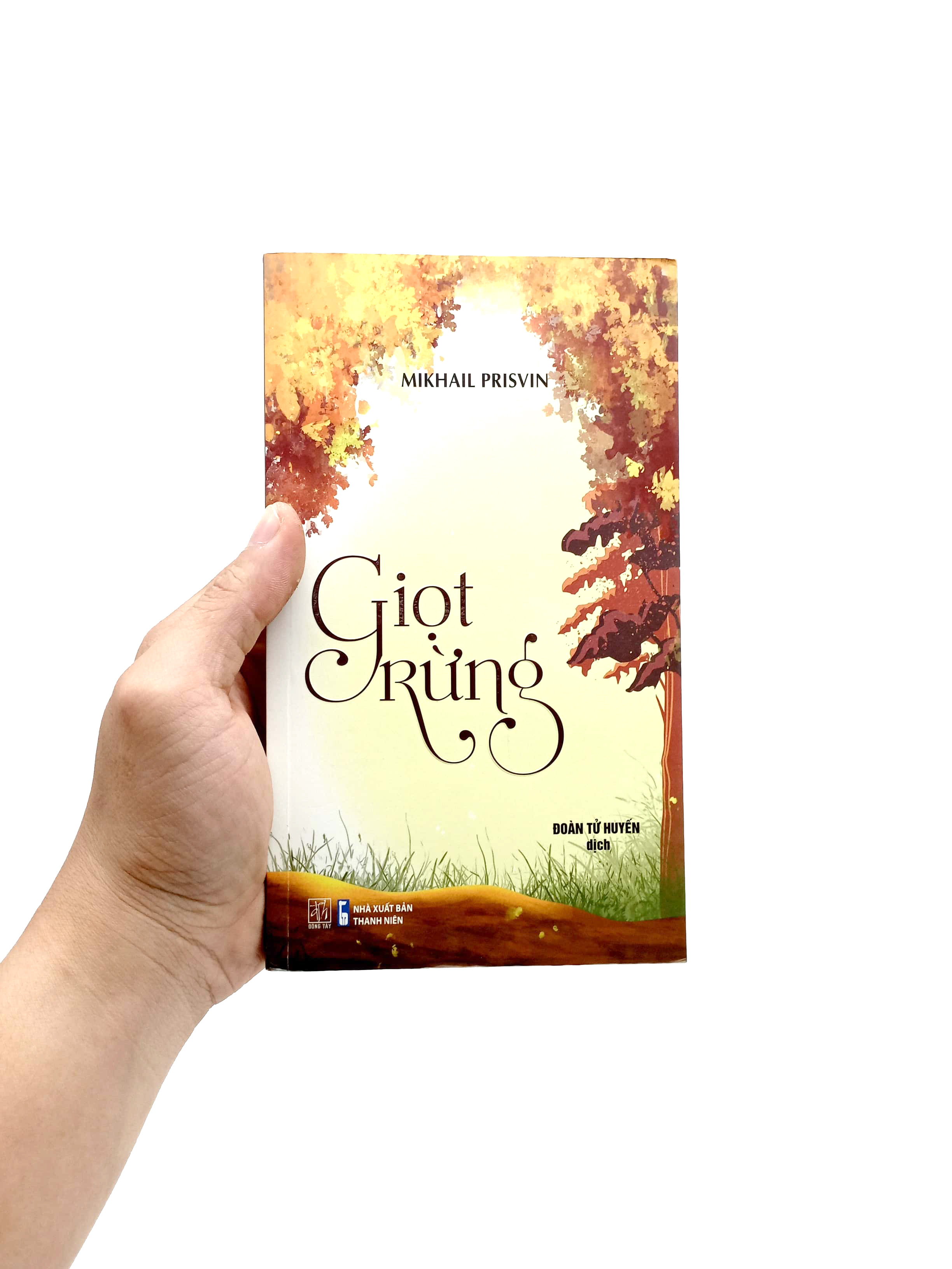 giọt rừng - Ảnh 7