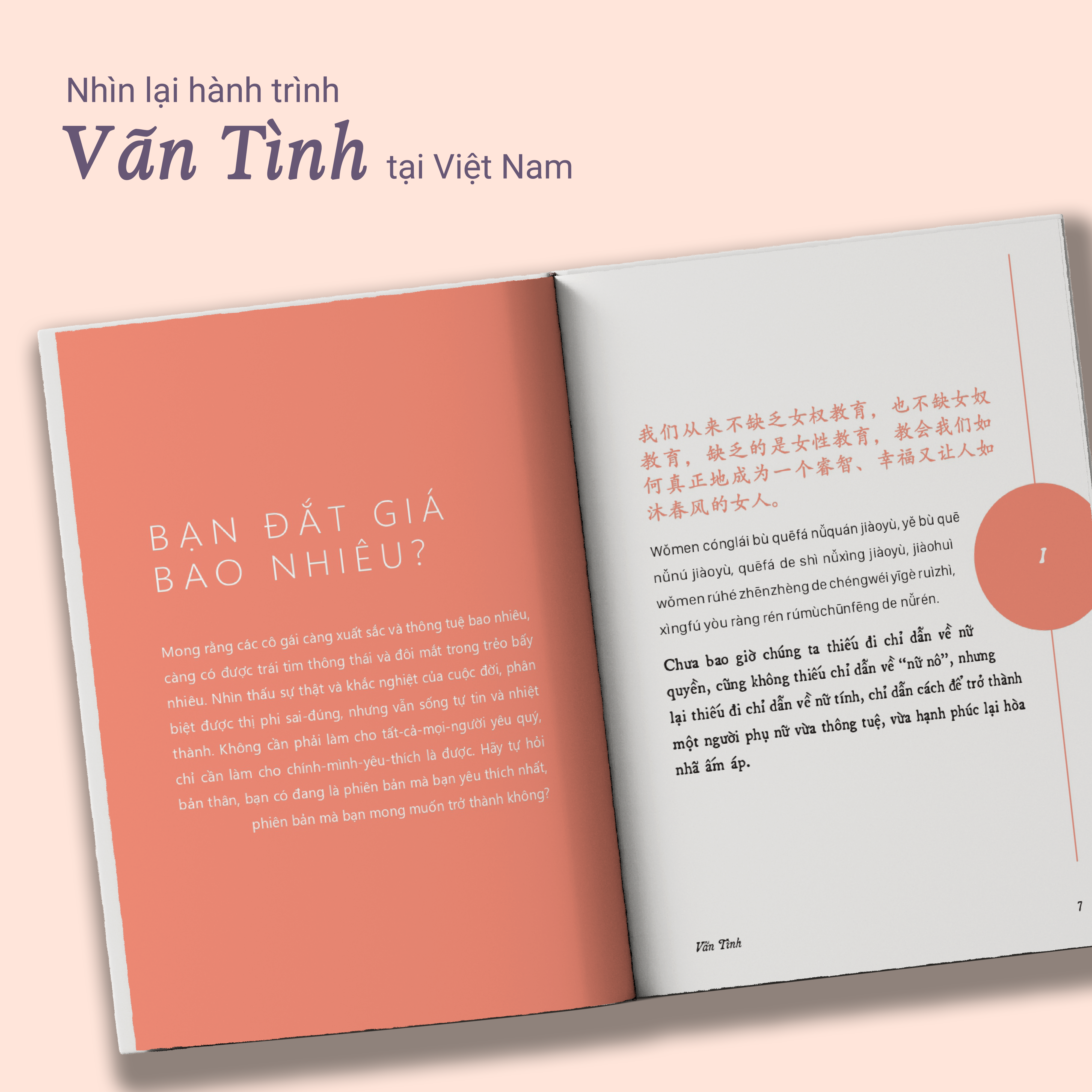 giữa muôn vàn ngã rẽ của cuộc đời, tôi vẫn chọn làm một người kiêu hãnh - phiên bản song ngữ trung-việt - Ảnh 4