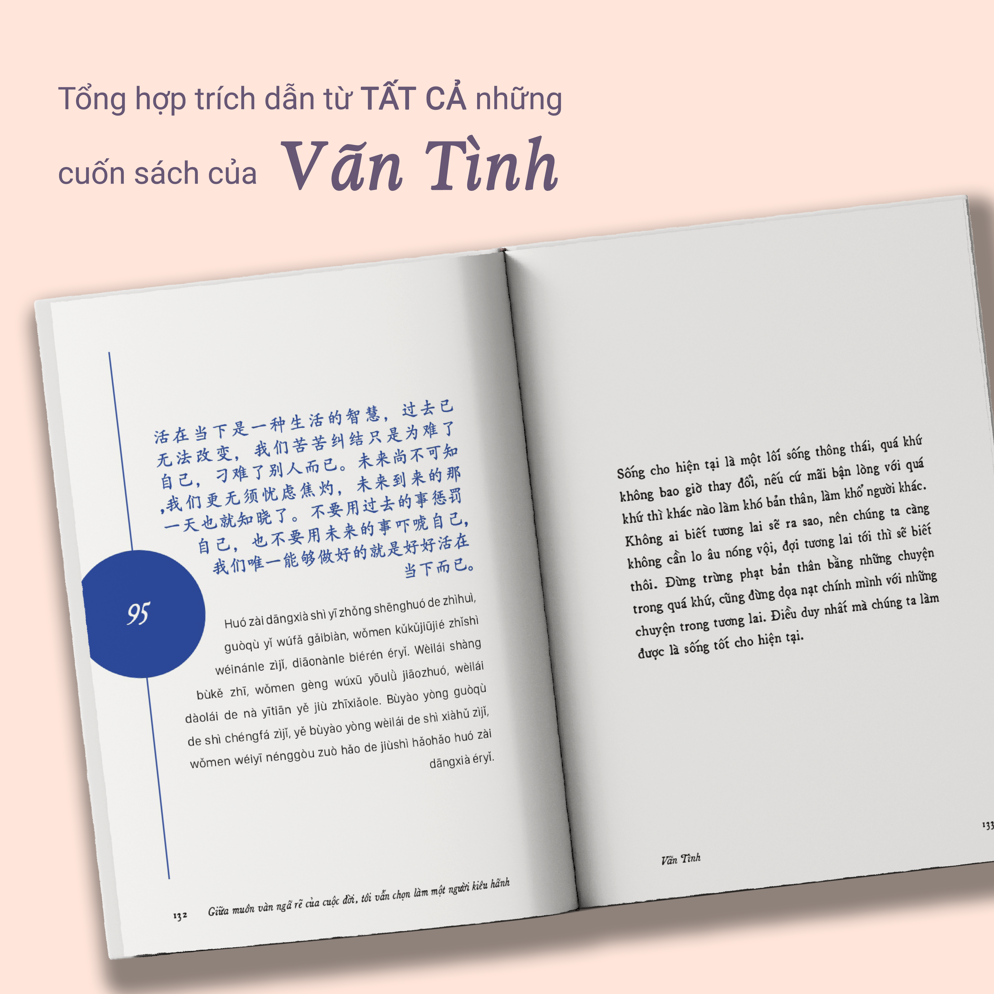 giữa muôn vàn ngã rẽ của cuộc đời, tôi vẫn chọn làm một người kiêu hãnh - phiên bản song ngữ trung-việt - Ảnh 5