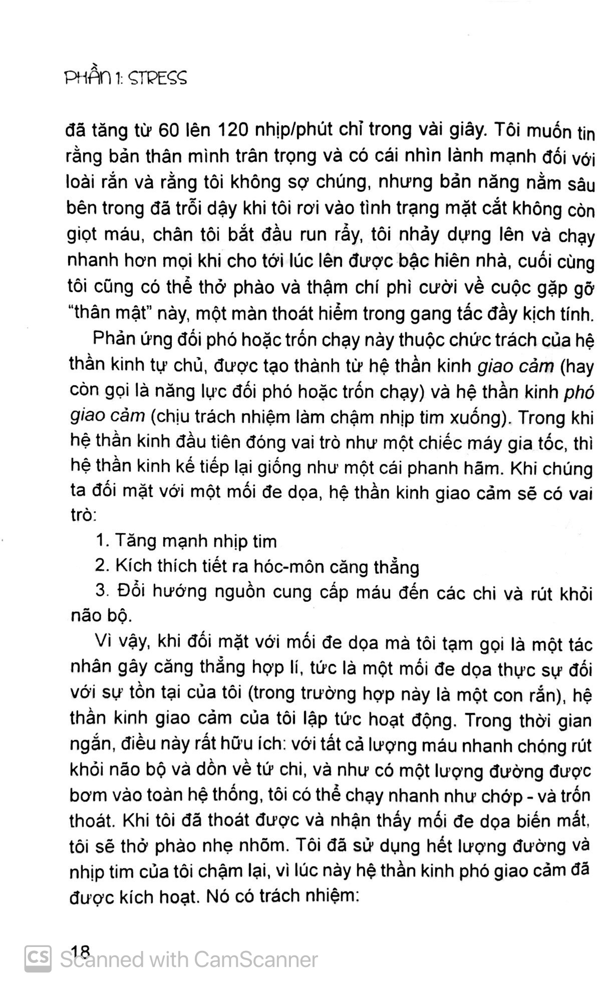 giúp con đương đầu với stress - Ảnh 5