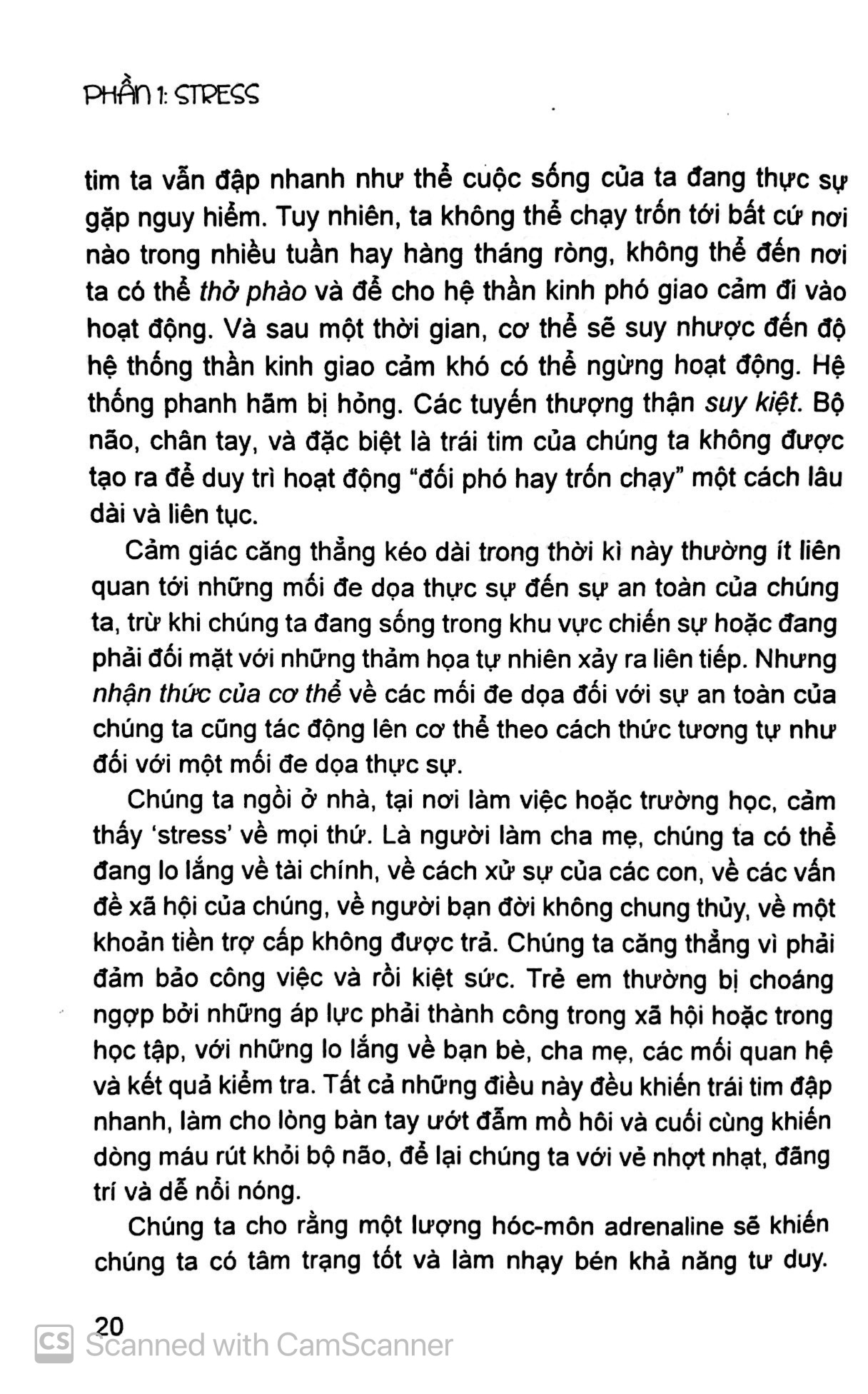 giúp con đương đầu với stress - Ảnh 7