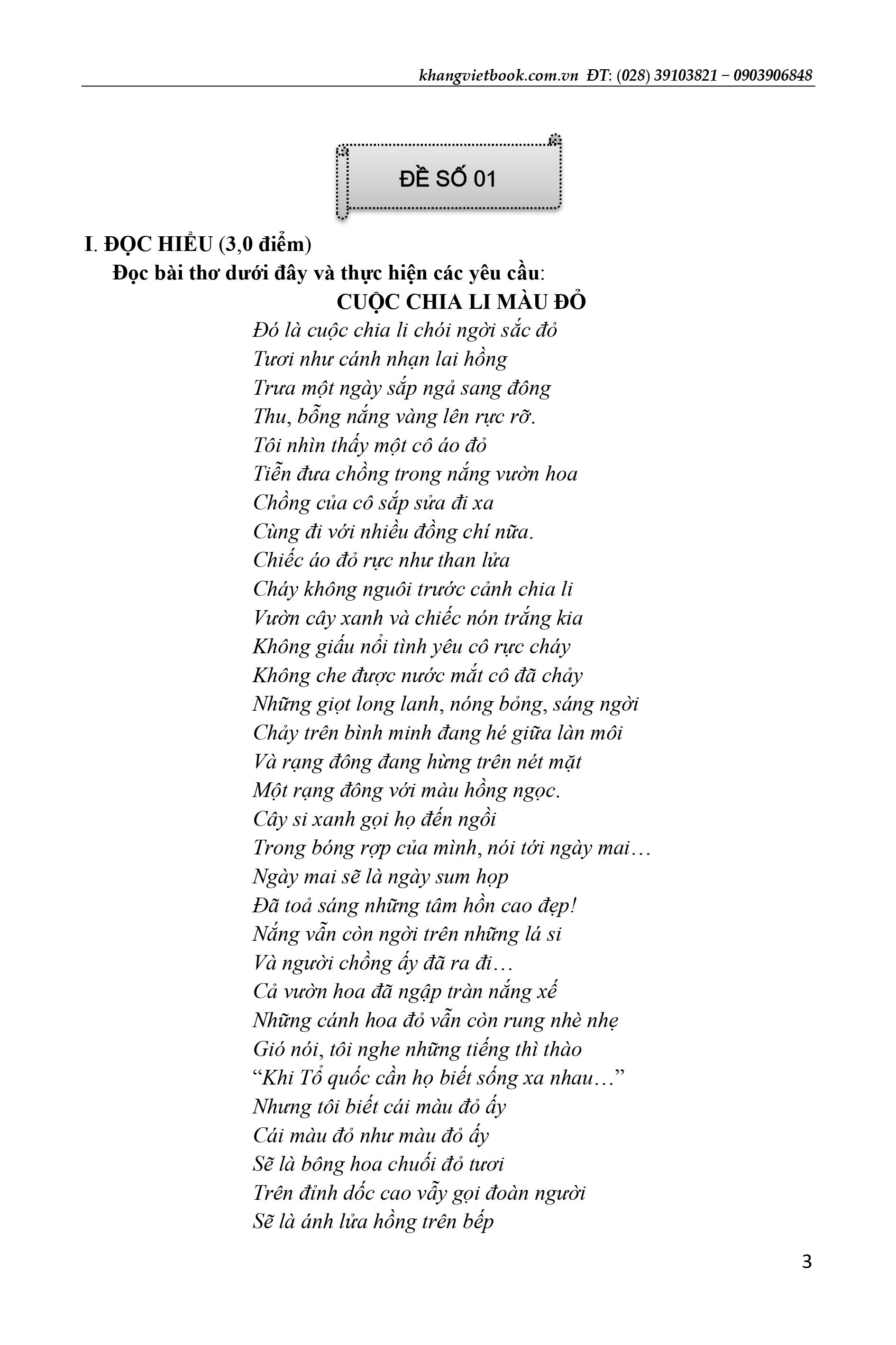 giúp em chinh phục kì thi vào lớp 10 môn ngữ văn - Ảnh 7