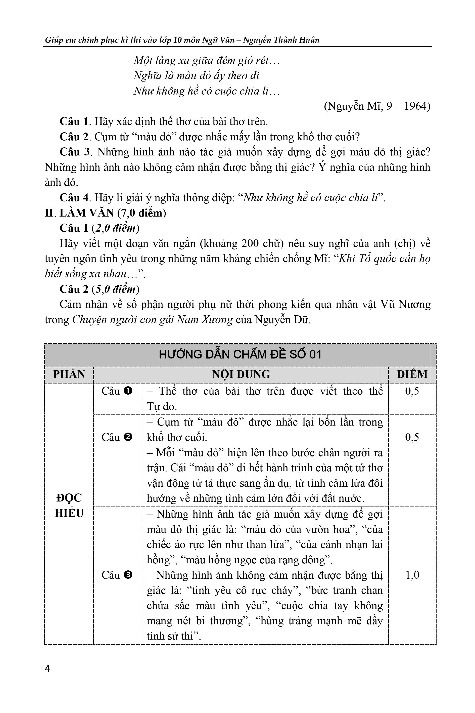 giúp em chinh phục kì thi vào lớp 10 môn ngữ văn - Ảnh 8