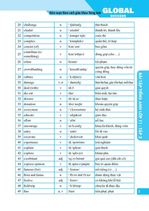 global success - bài tập tiếng anh lớp 11 - tập 2 (có đáp án) - Ảnh 4