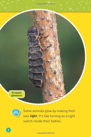 glowing animals (l1/co-reader) (national geographic readers) - Ảnh 5