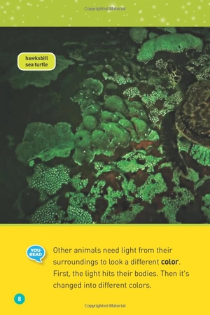 glowing animals (l1/co-reader) (national geographic readers) - Ảnh 7