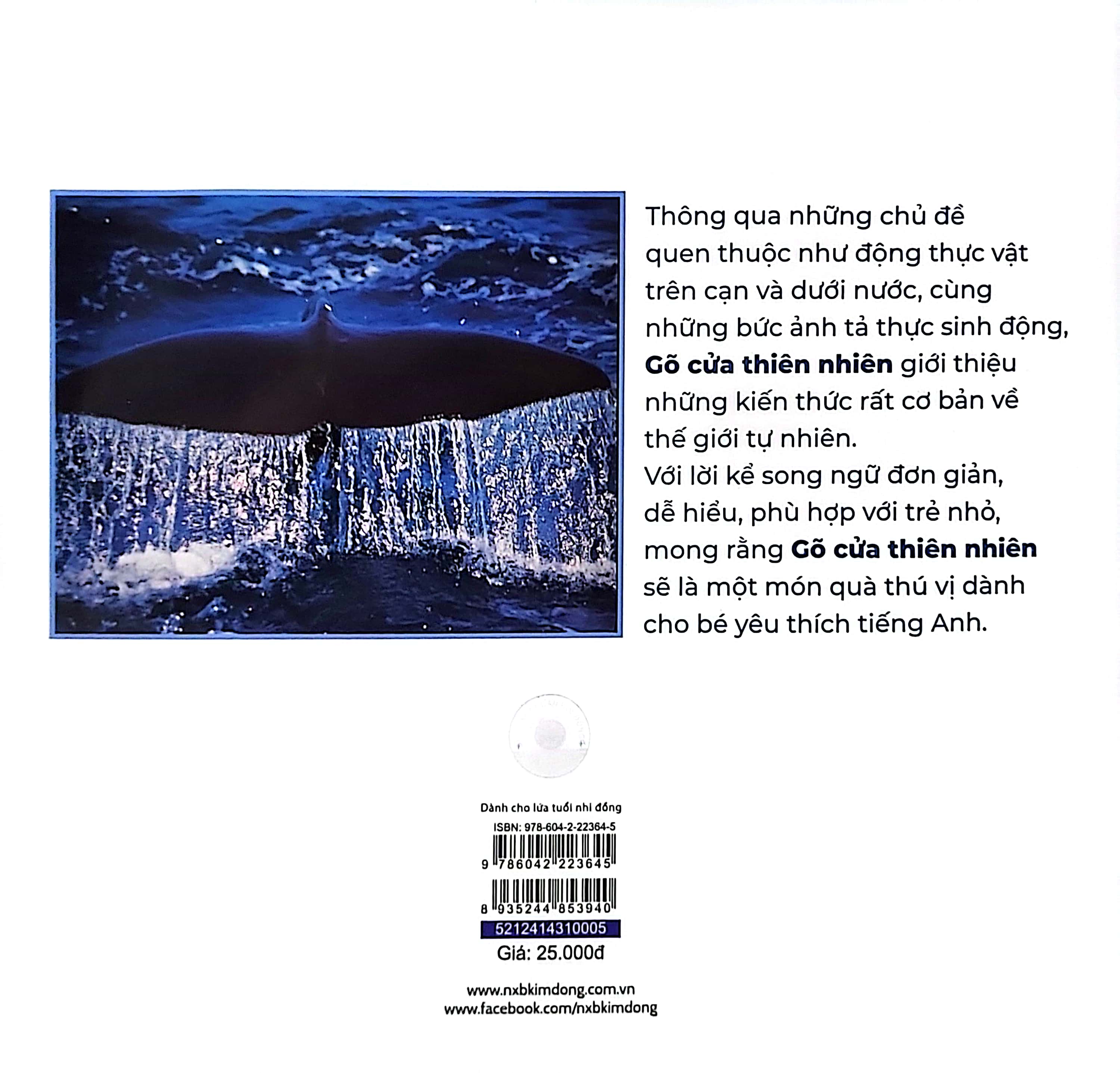 gõ cửa thiên nhiên - bài ca biển cả - học đếm - the song from the sea - Ảnh 7