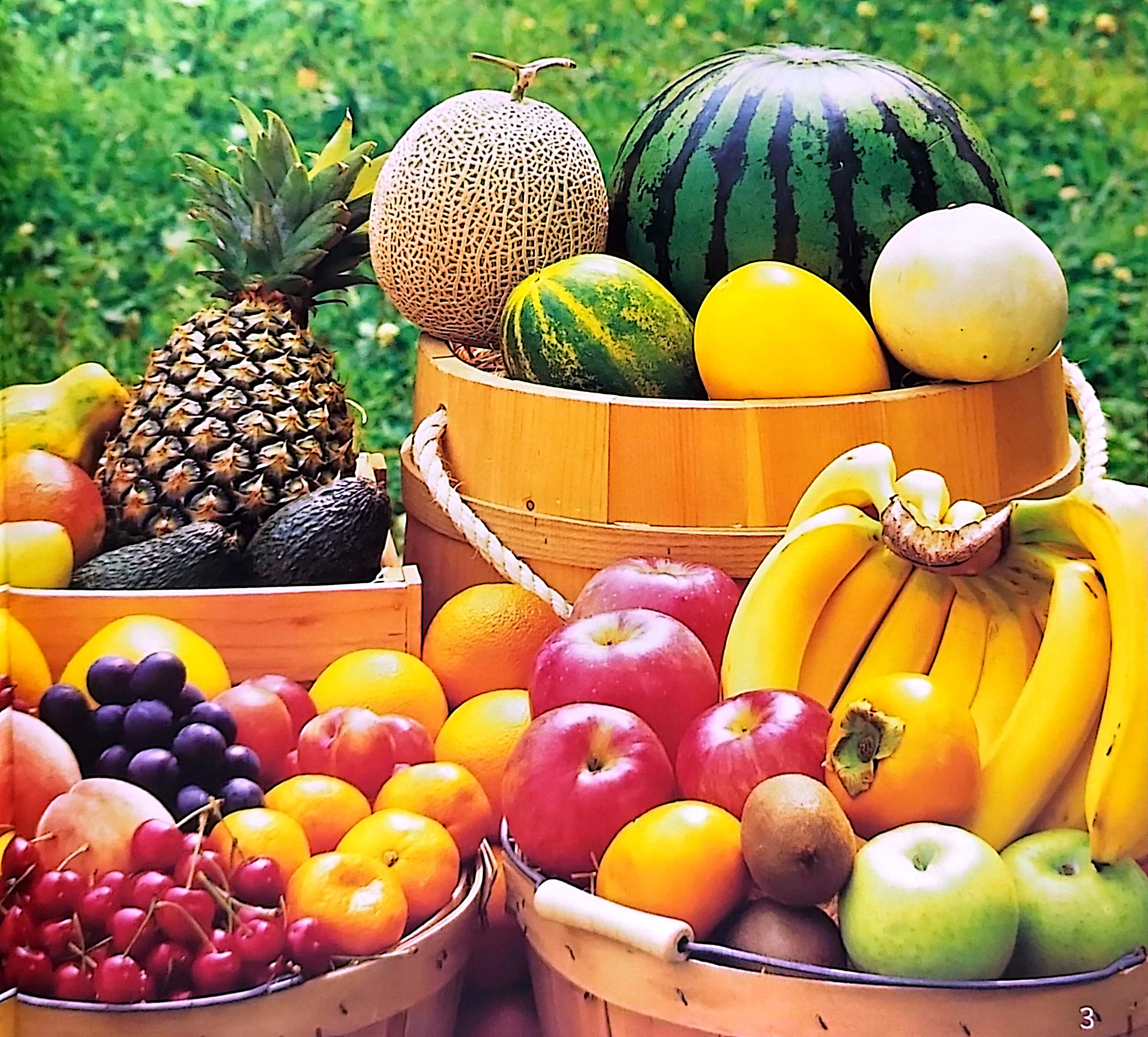 gõ cửa thiên nhiên - hoa quả thật thú vị - rèn trí tưởng tượng - fruits are interesting - Ảnh 4