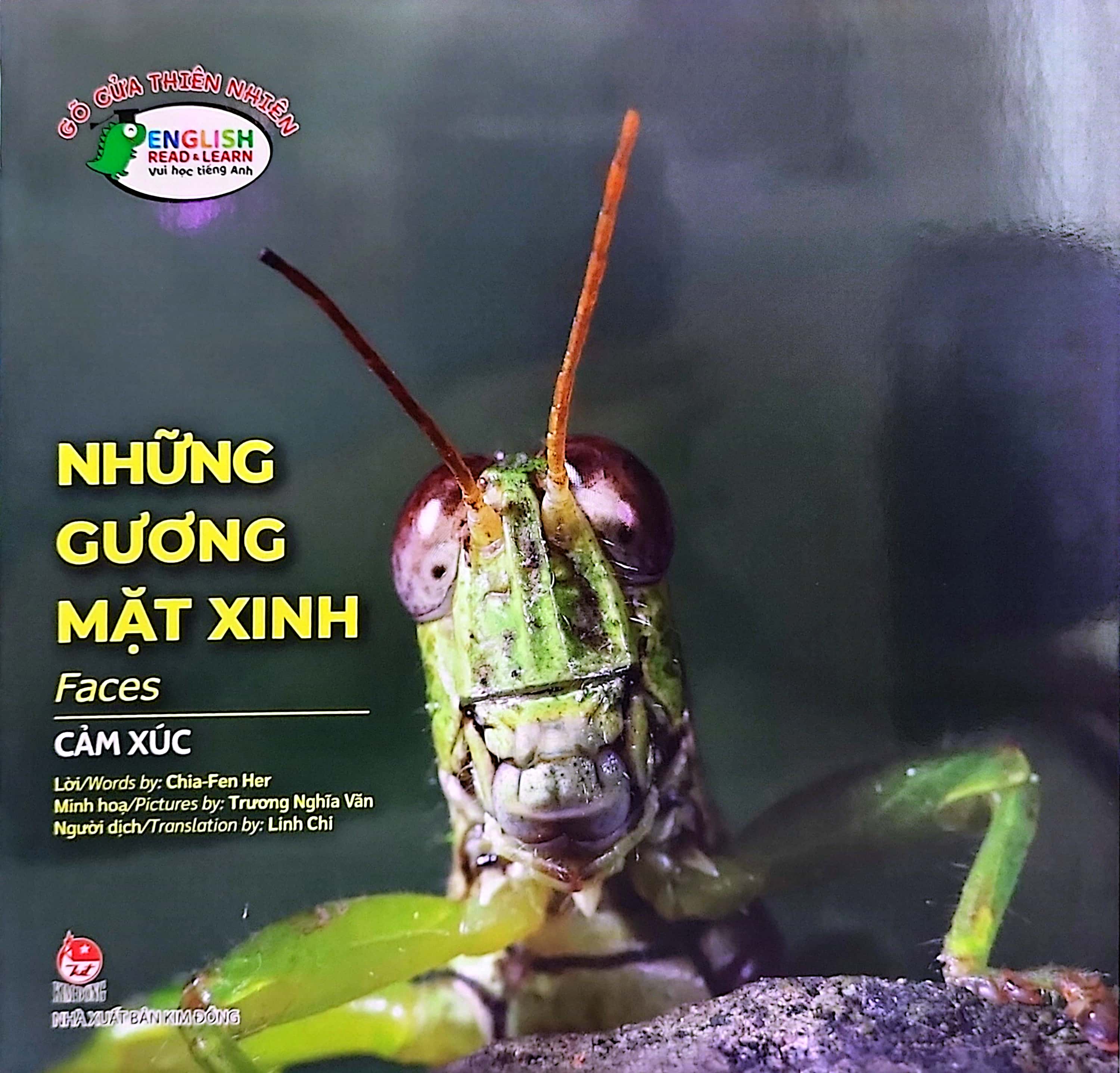 gõ cửa thiên nhiên - những gương mặt xinh - cảm xúc - faces - Ảnh 2