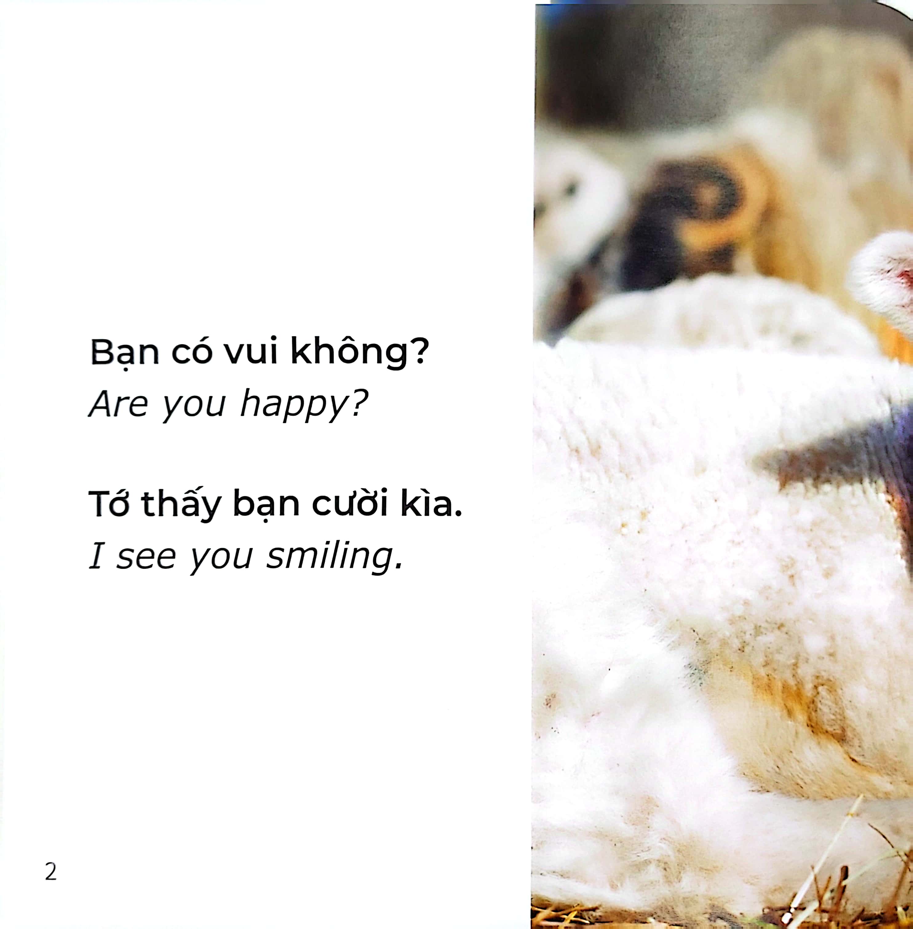 gõ cửa thiên nhiên - những gương mặt xinh - cảm xúc - faces - Ảnh 3