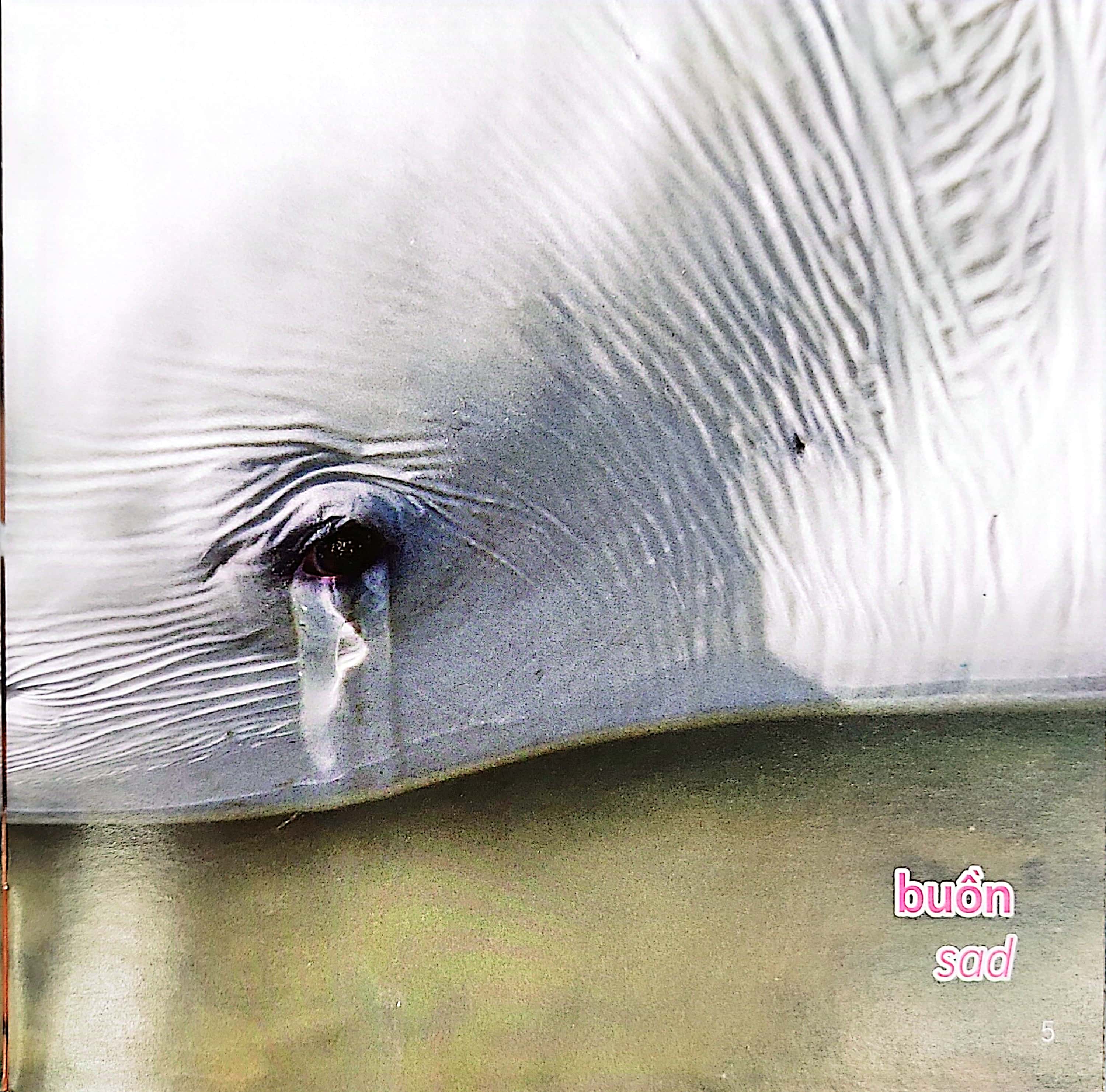 gõ cửa thiên nhiên - những gương mặt xinh - cảm xúc - faces - Ảnh 6