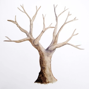 gõ nhẹ vào thân cây diệu kỳ (tái bản 2022) - Ảnh 4