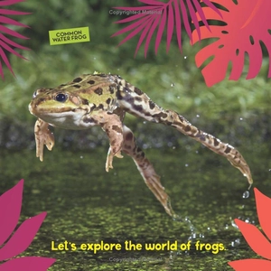 go wild! frogs - Ảnh 3