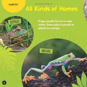 go wild! frogs - Ảnh 4