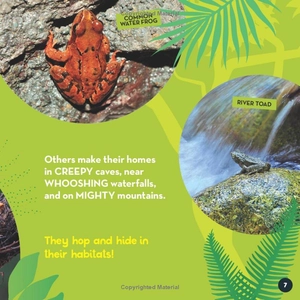 go wild! frogs - Ảnh 5