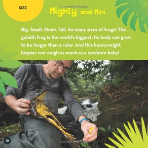 go wild! frogs - Ảnh 7