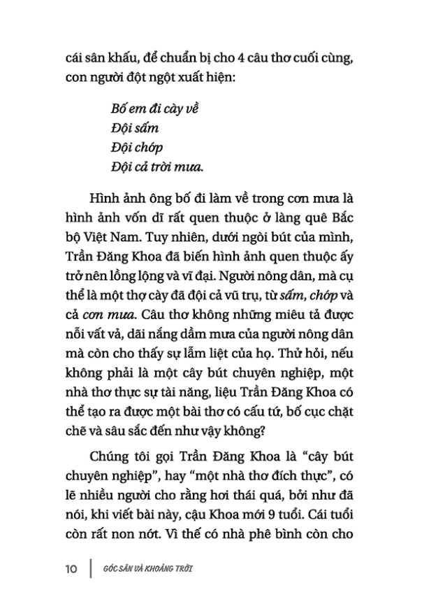 góc sân và khoảng trời - Ảnh 8