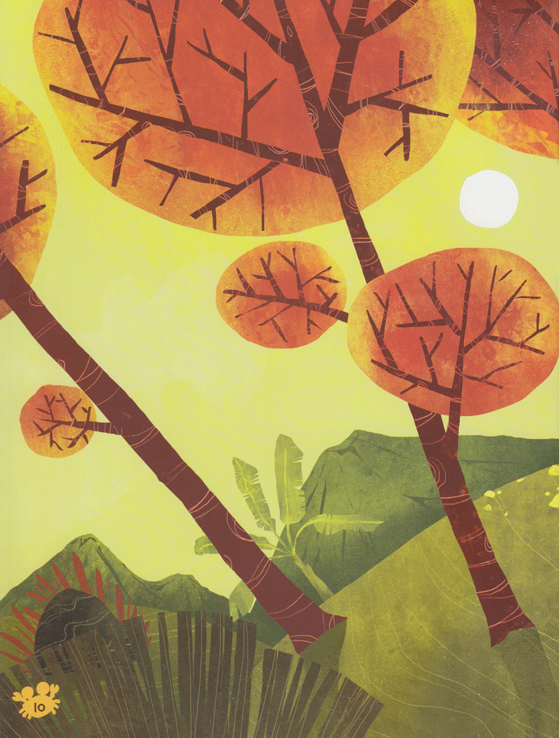 góc sân và khoảng trời - mang biển về quê - Ảnh 7