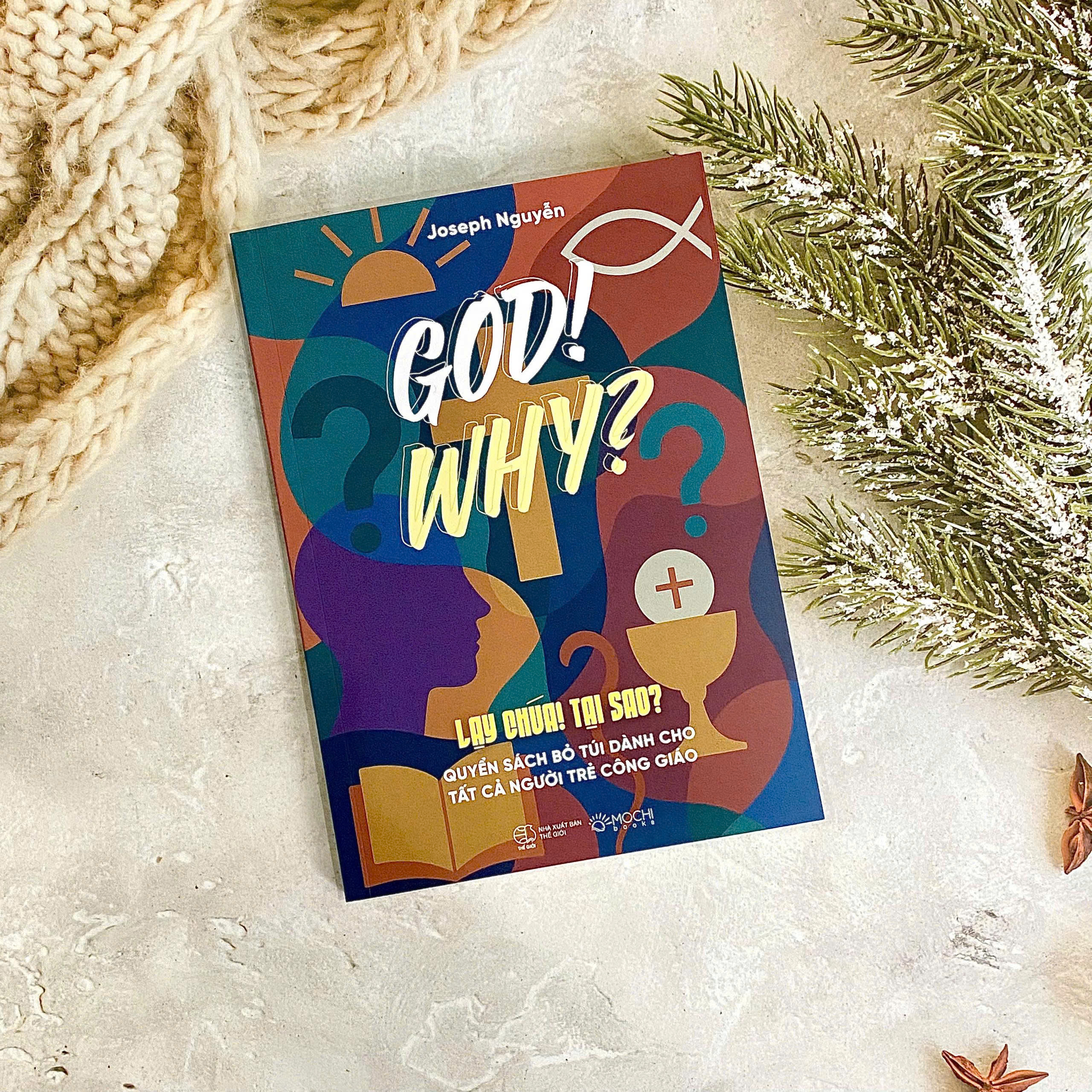 God! Why? - Lạy Chúa! Tại Sao? - Ảnh 4