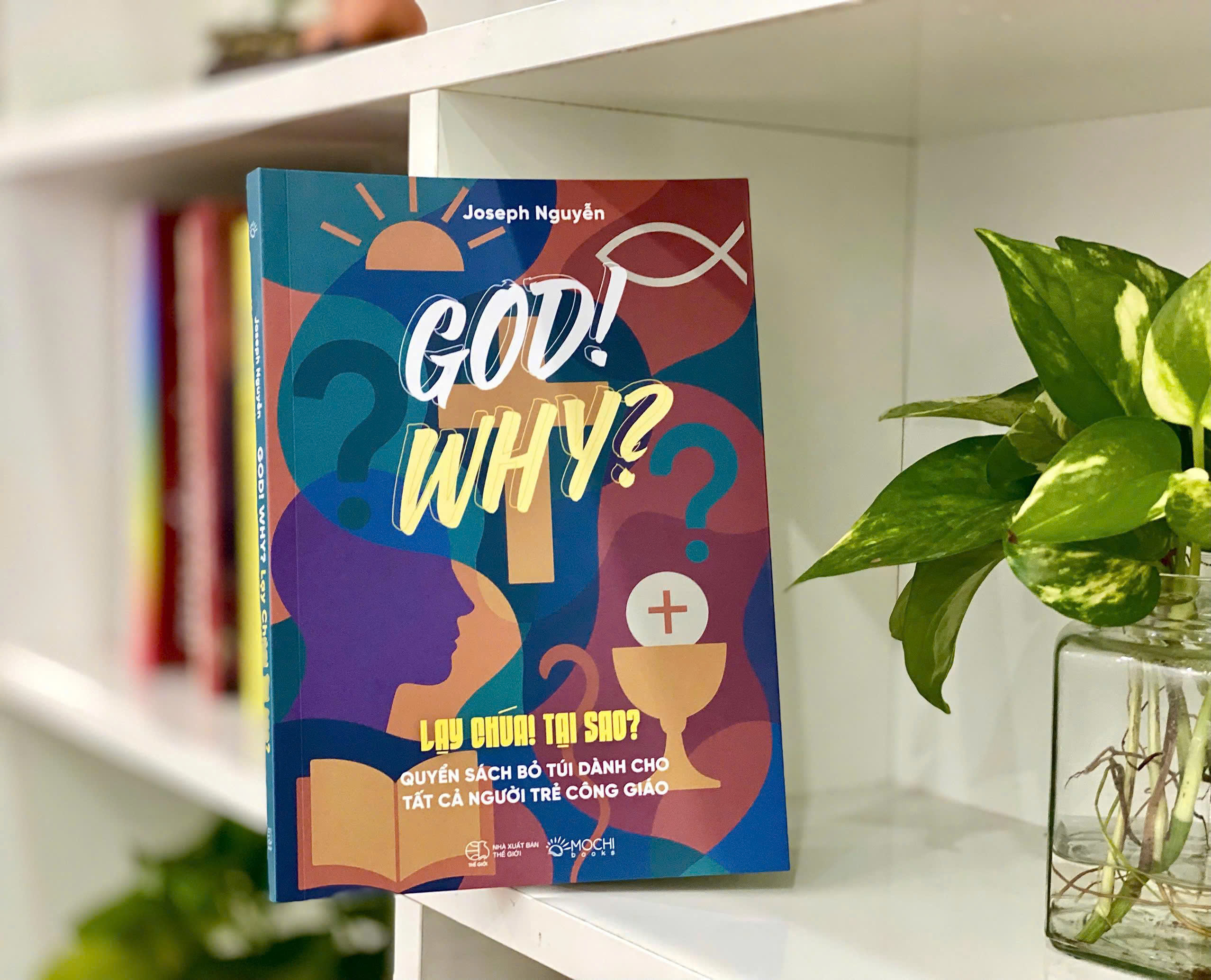 God! Why? - Lạy Chúa! Tại Sao? - Ảnh 5