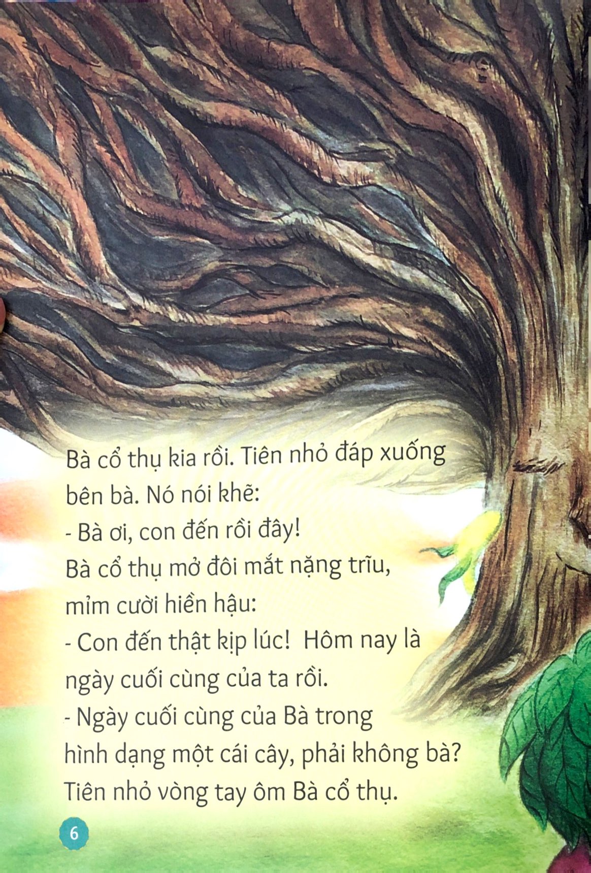 gợi mở trí tưởng tượng - chuyện kể cuối của bà cổ thụ - bài học để học yêu thương cây cối - Ảnh 6