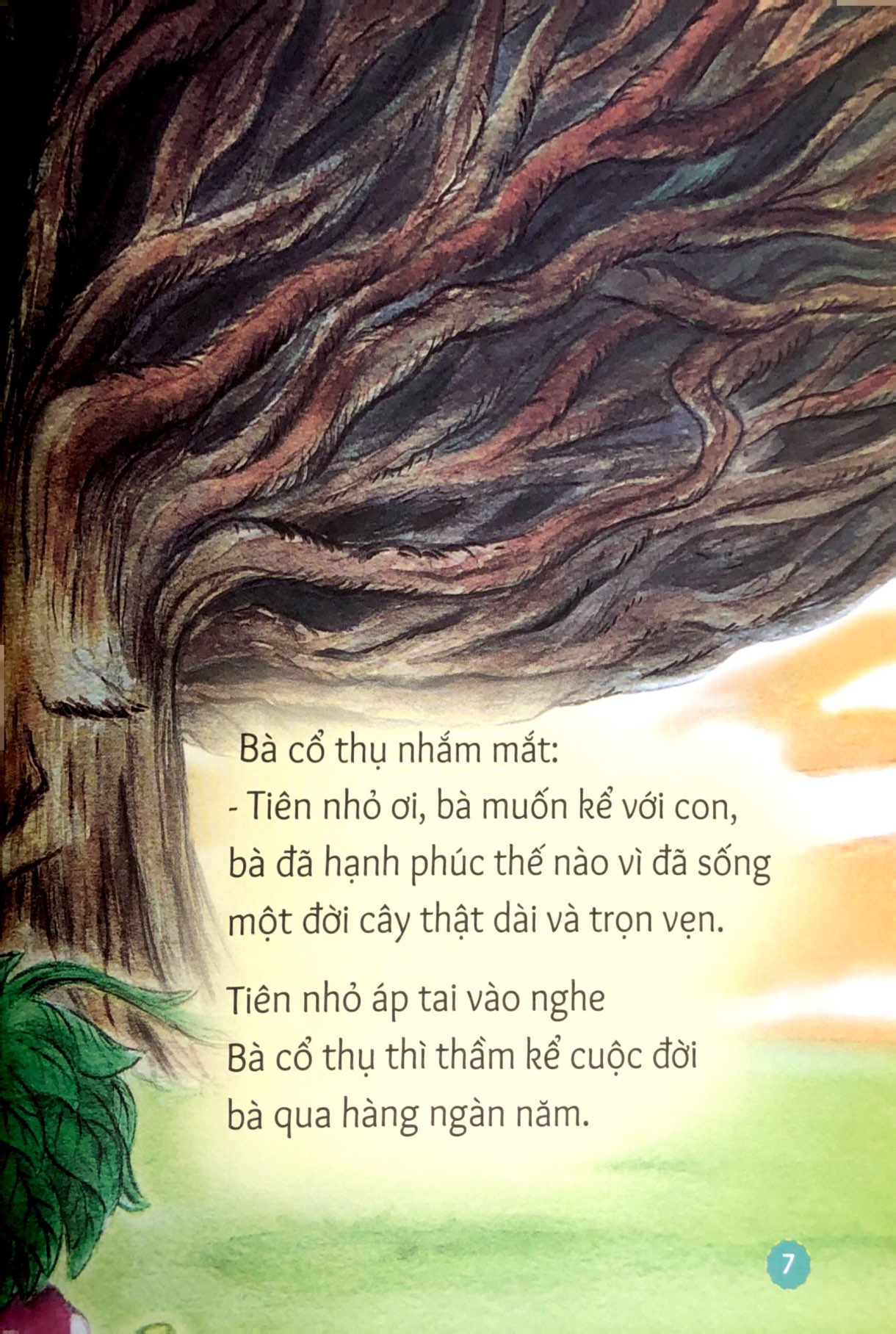 gợi mở trí tưởng tượng - chuyện kể cuối của bà cổ thụ - bài học để học yêu thương cây cối - Ảnh 7