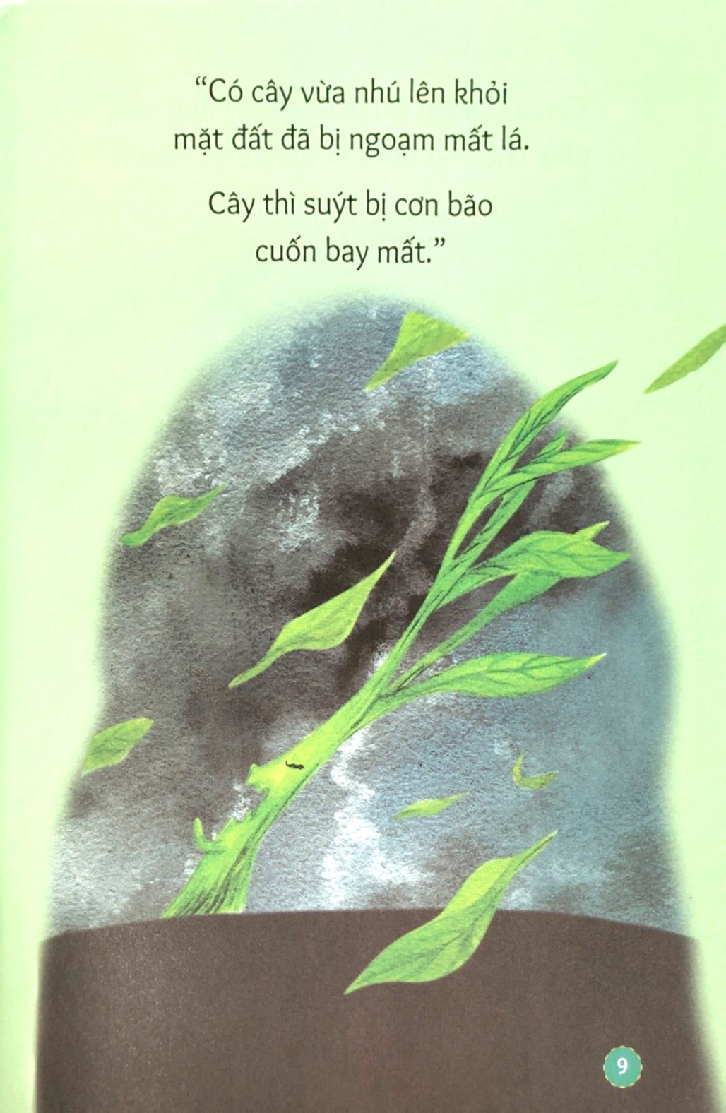 gợi mở trí tưởng tượng - hạt nhỏ không chịu nảy mầm - bài học vượt qua sợ hãi và dũng cảm lớn lên - Ảnh 8