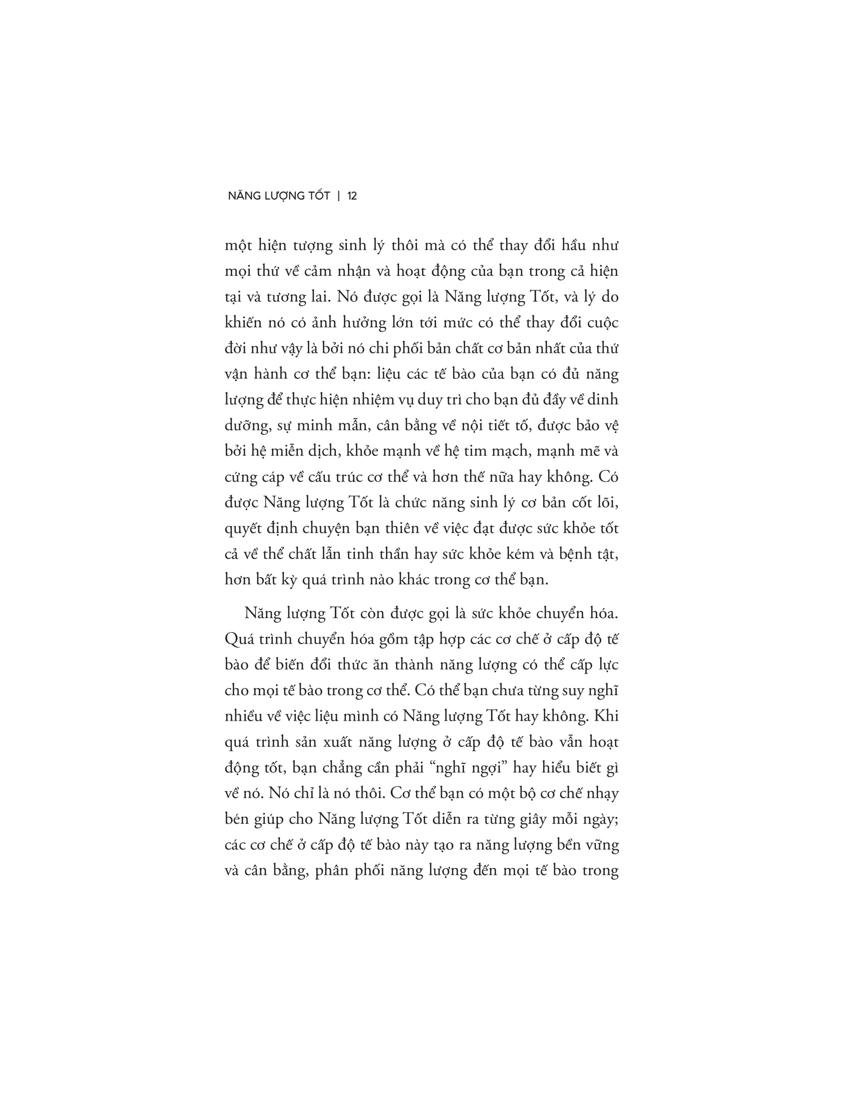 Good Energy - Năng Lượng Tốt - Ảnh 10