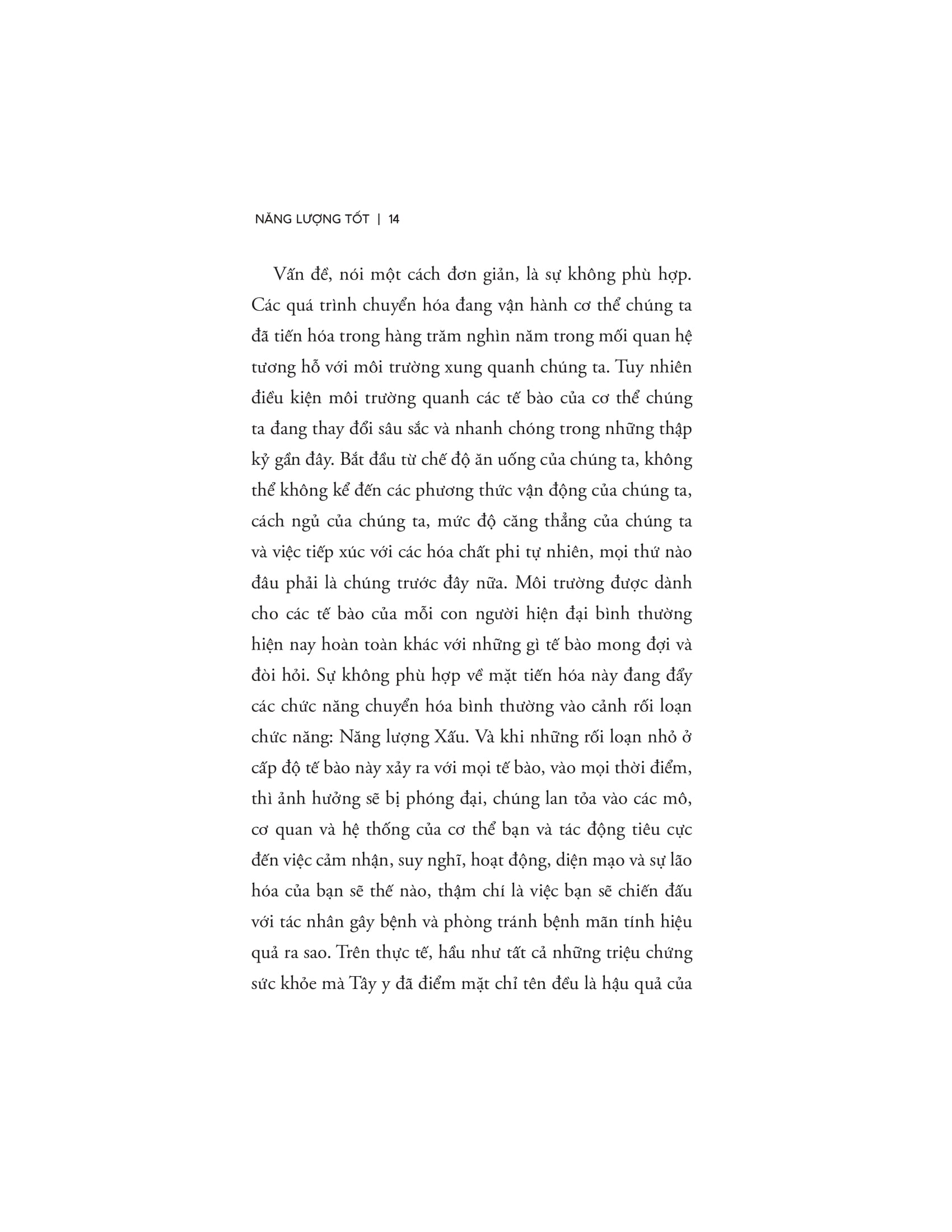 Good Energy - Năng Lượng Tốt - Ảnh 12