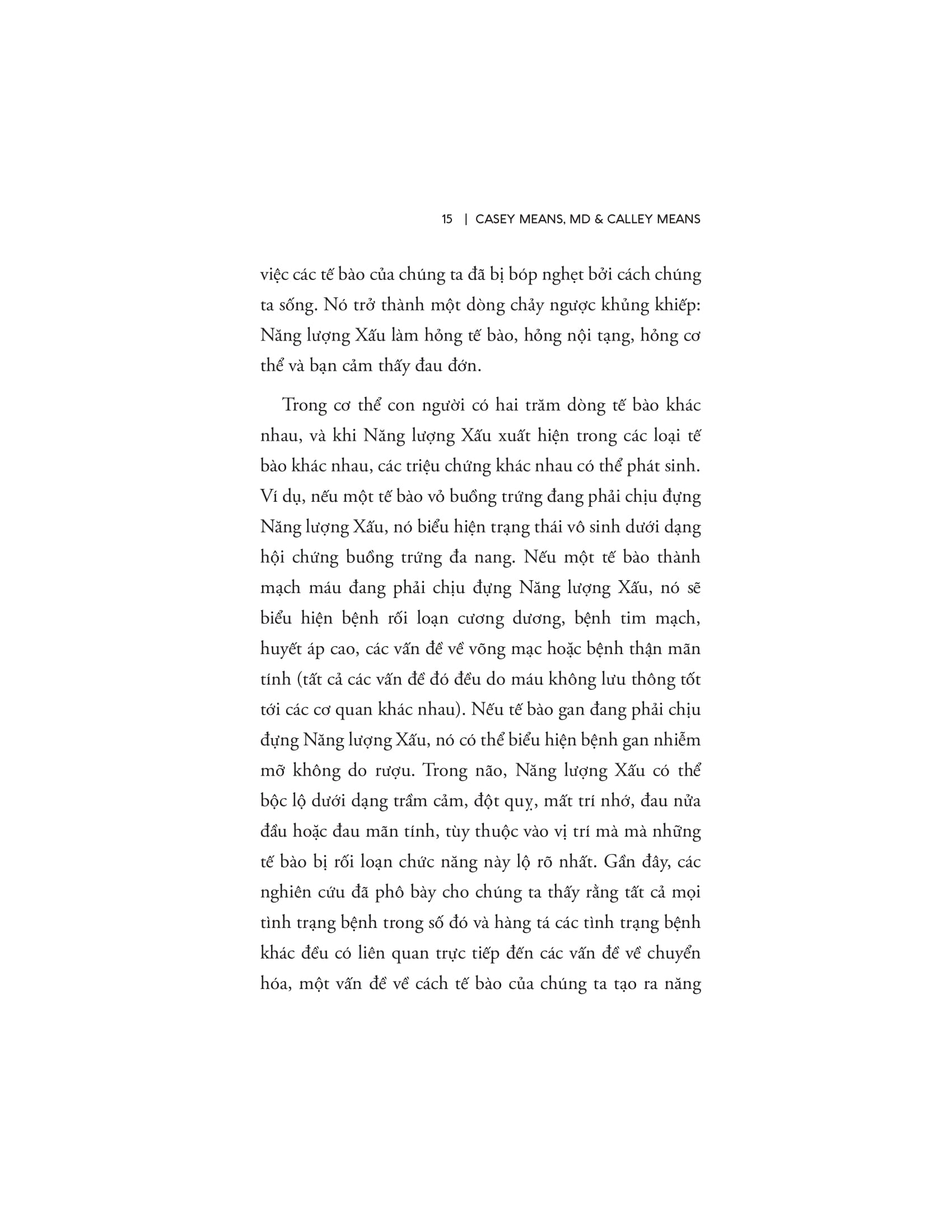 Good Energy - Năng Lượng Tốt - Ảnh 13