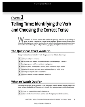 grammar: 1001 practice questions for dummies (+ free online practice) - Ảnh 15