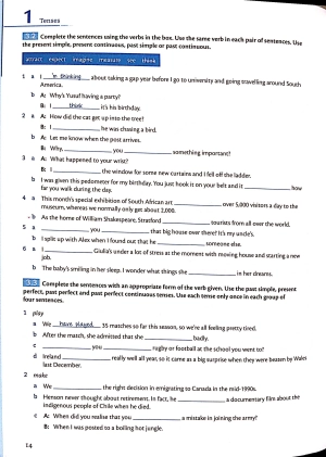 grammar and vocabulary for advanced book with answers and audio: self-study grammar reference and practice - Ảnh 16