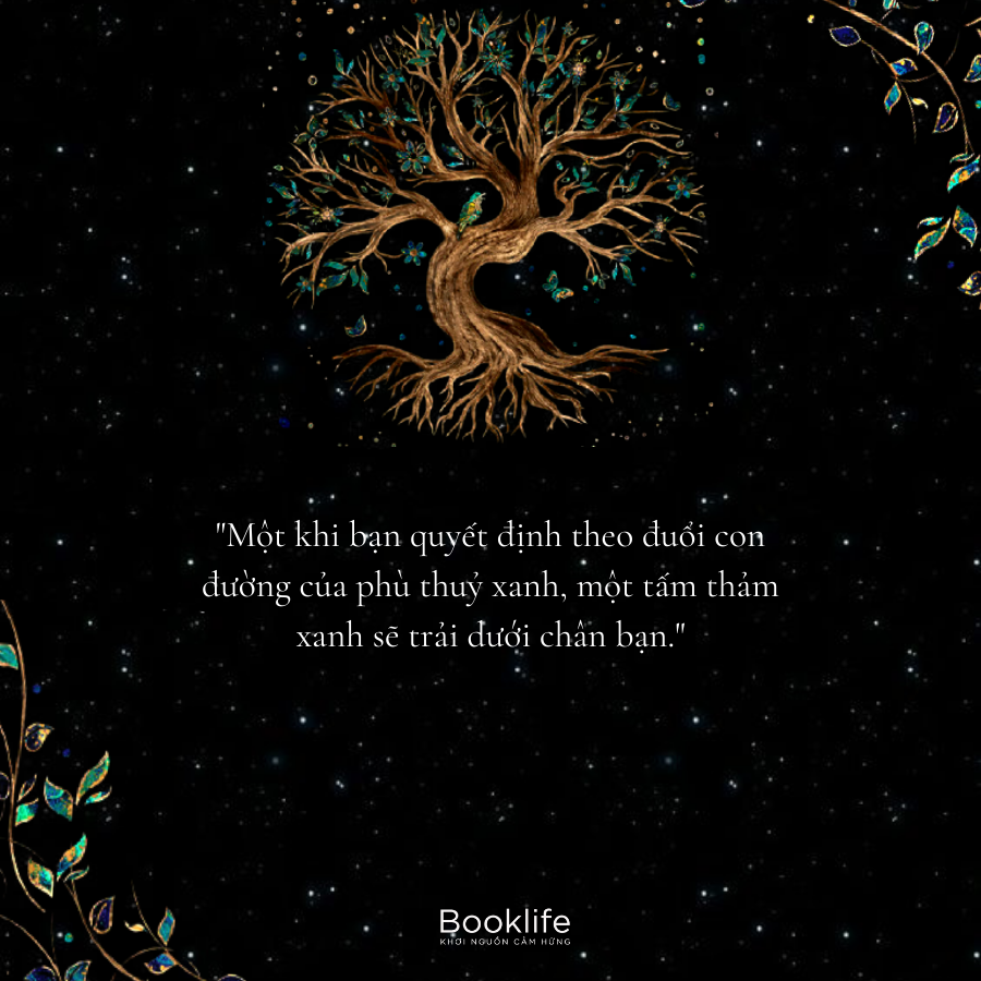 green witchcraft - năng lượng từ thảo mộc - Ảnh 4