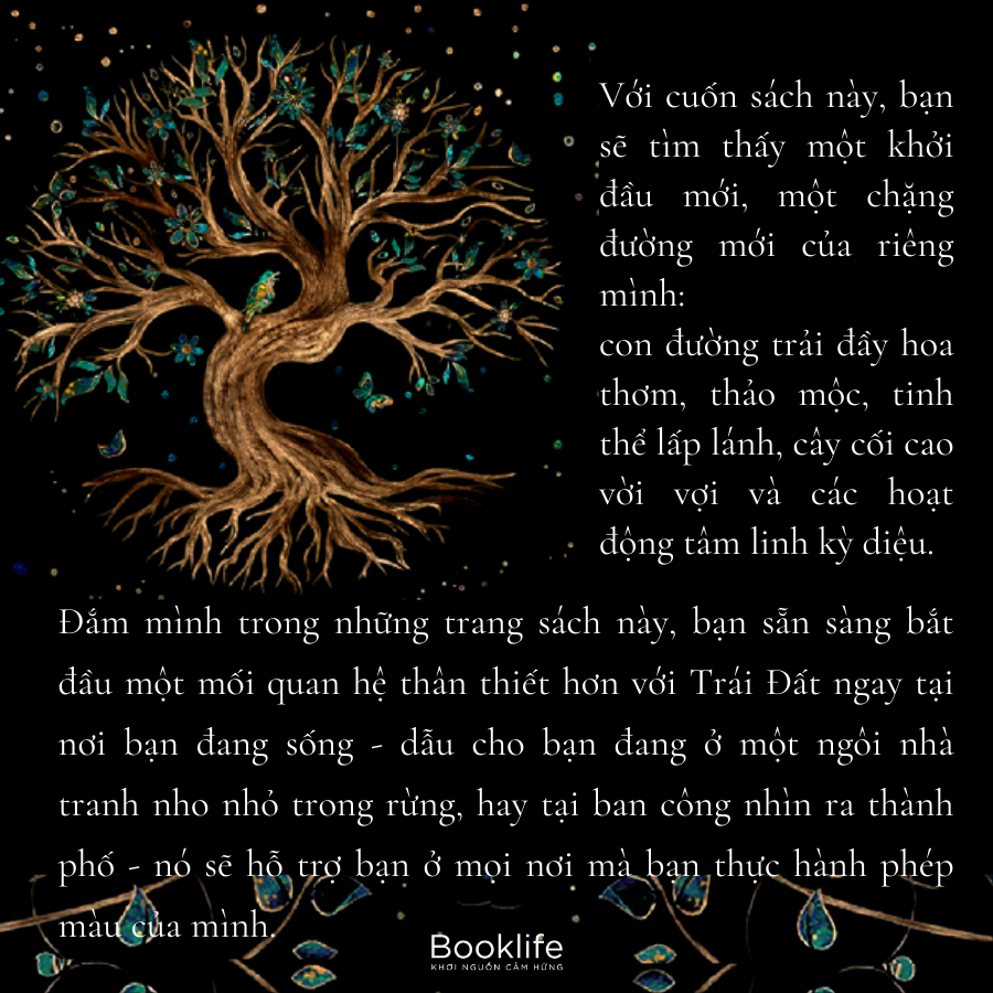 green witchcraft - năng lượng từ thảo mộc - Ảnh 5