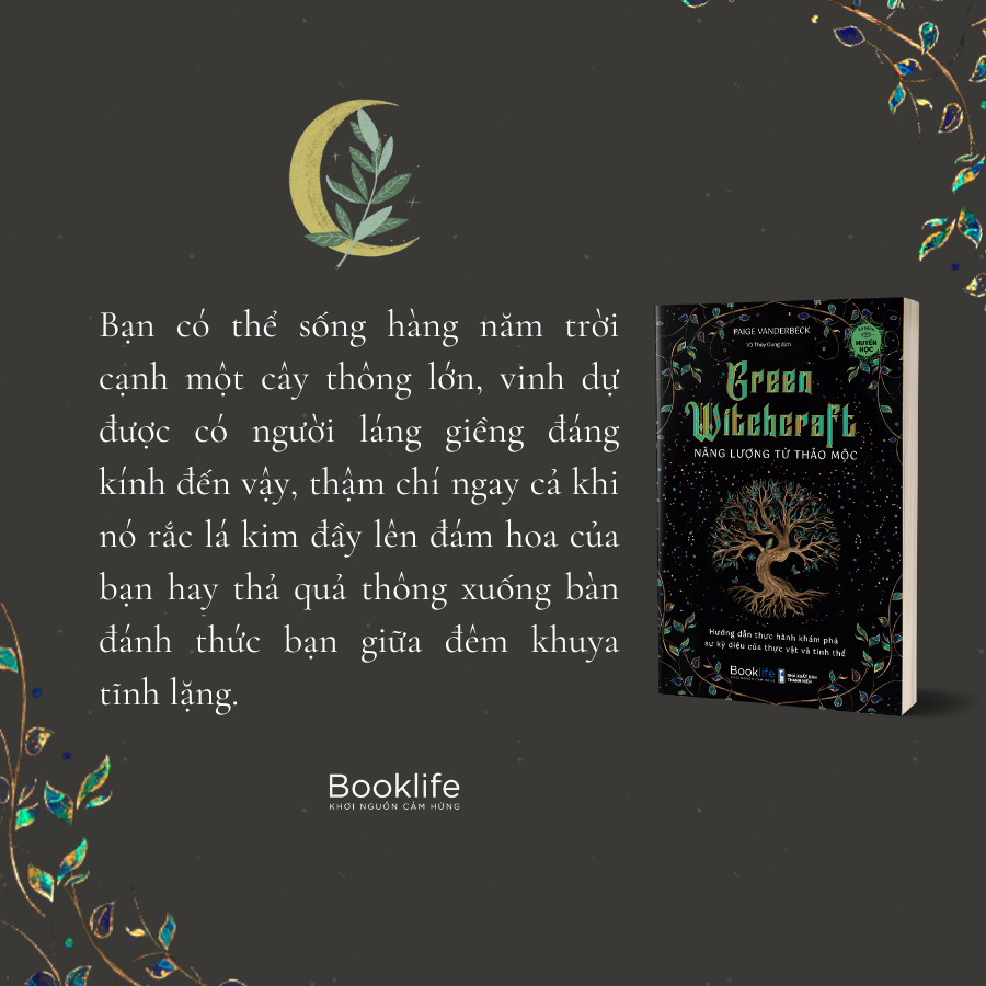 green witchcraft - năng lượng từ thảo mộc - Ảnh 7