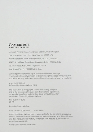 greenman and the magic forest b flashcards (pack of 48) - Ảnh 3