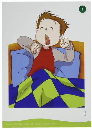 greenman and the magic forest b flashcards (pack of 48) - Ảnh 4