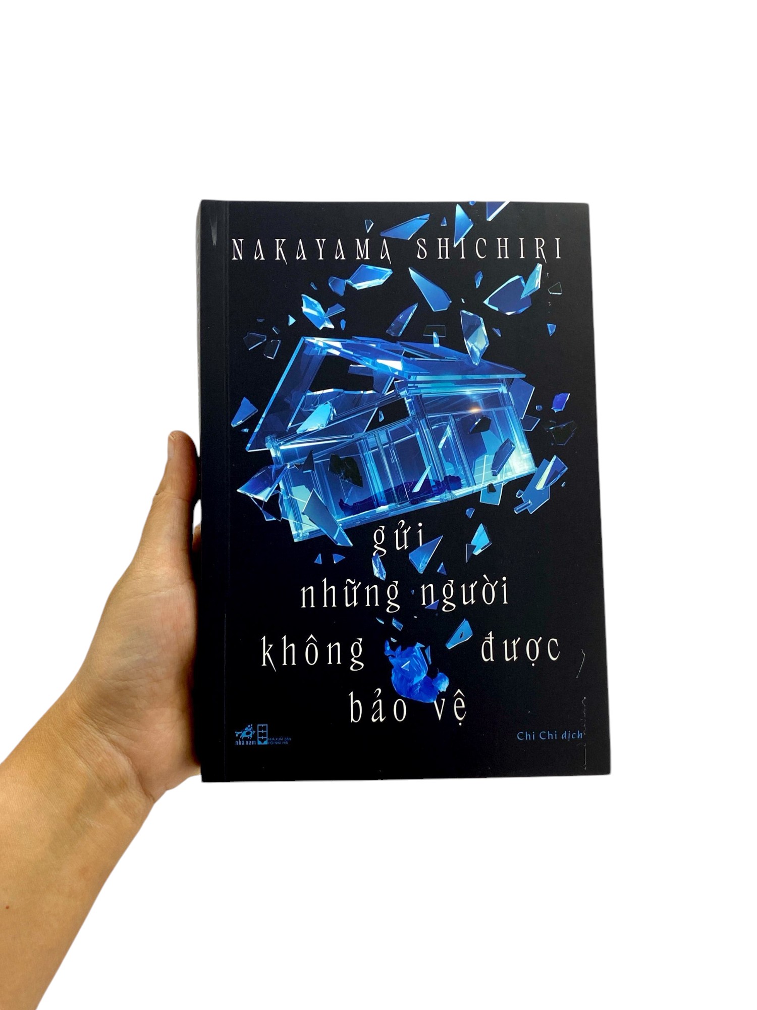 gửi những người không được bảo vệ - Ảnh 10