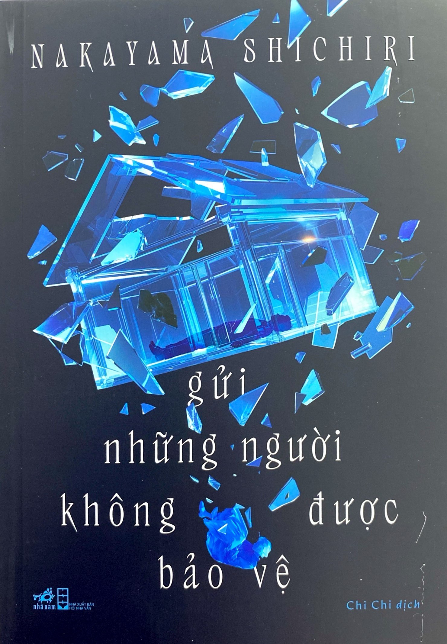 gửi những người không được bảo vệ - Ảnh 2