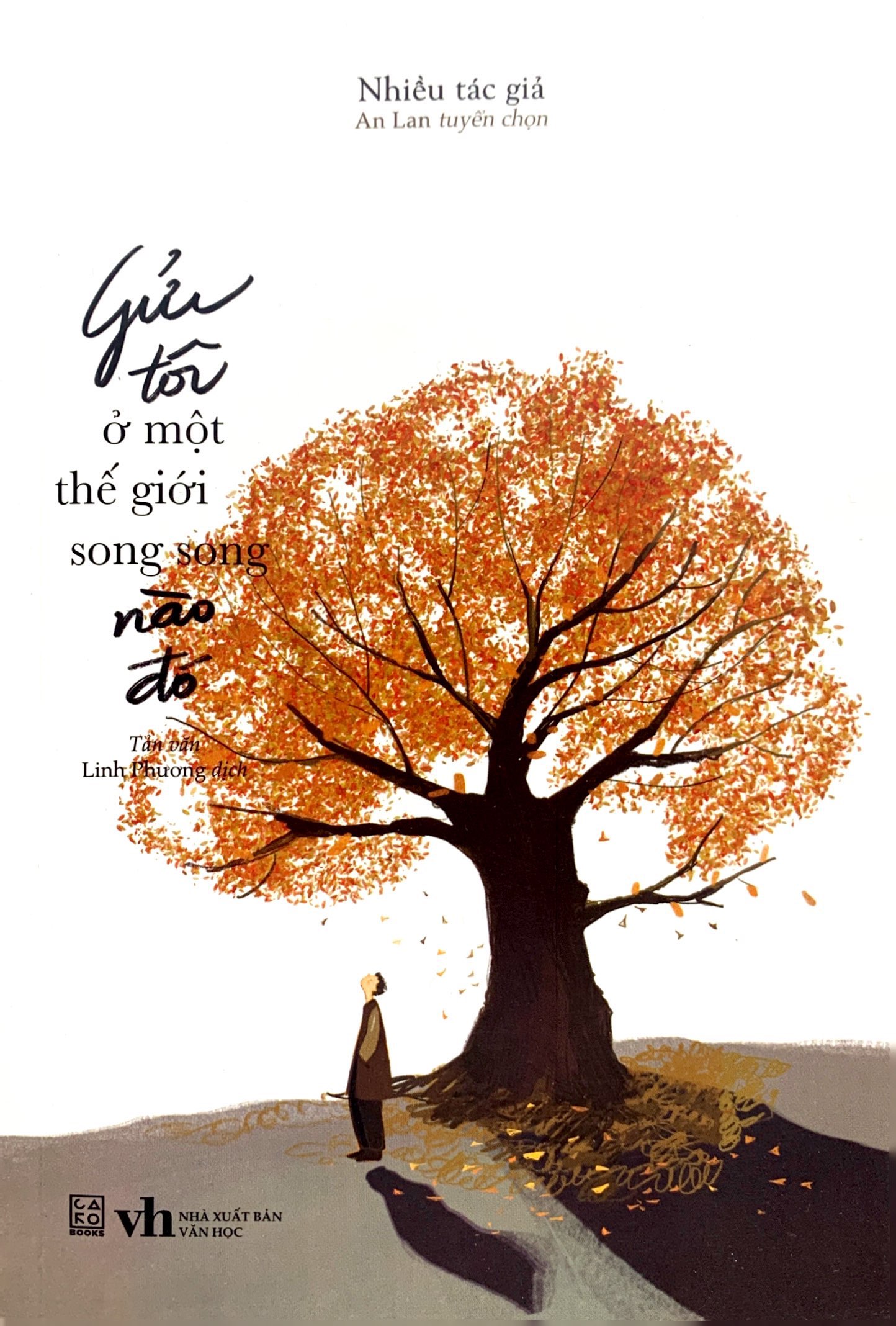 gửi tôi ở một thế giới song song nào đó - Ảnh 2