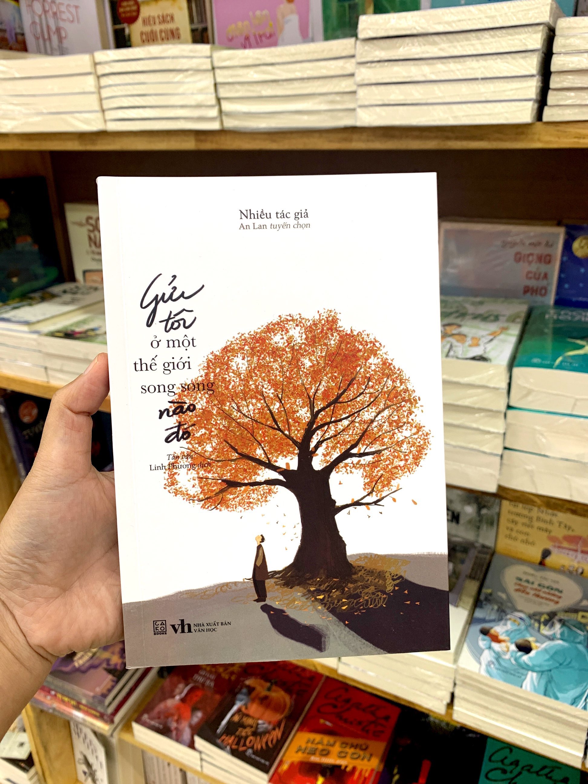 gửi tôi ở một thế giới song song nào đó - Ảnh 8