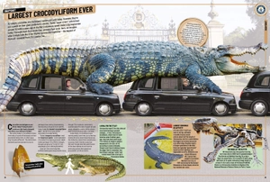 guinness world records 2020 - Ảnh 2