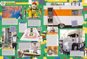 guinness world records 2025 - Ảnh 6