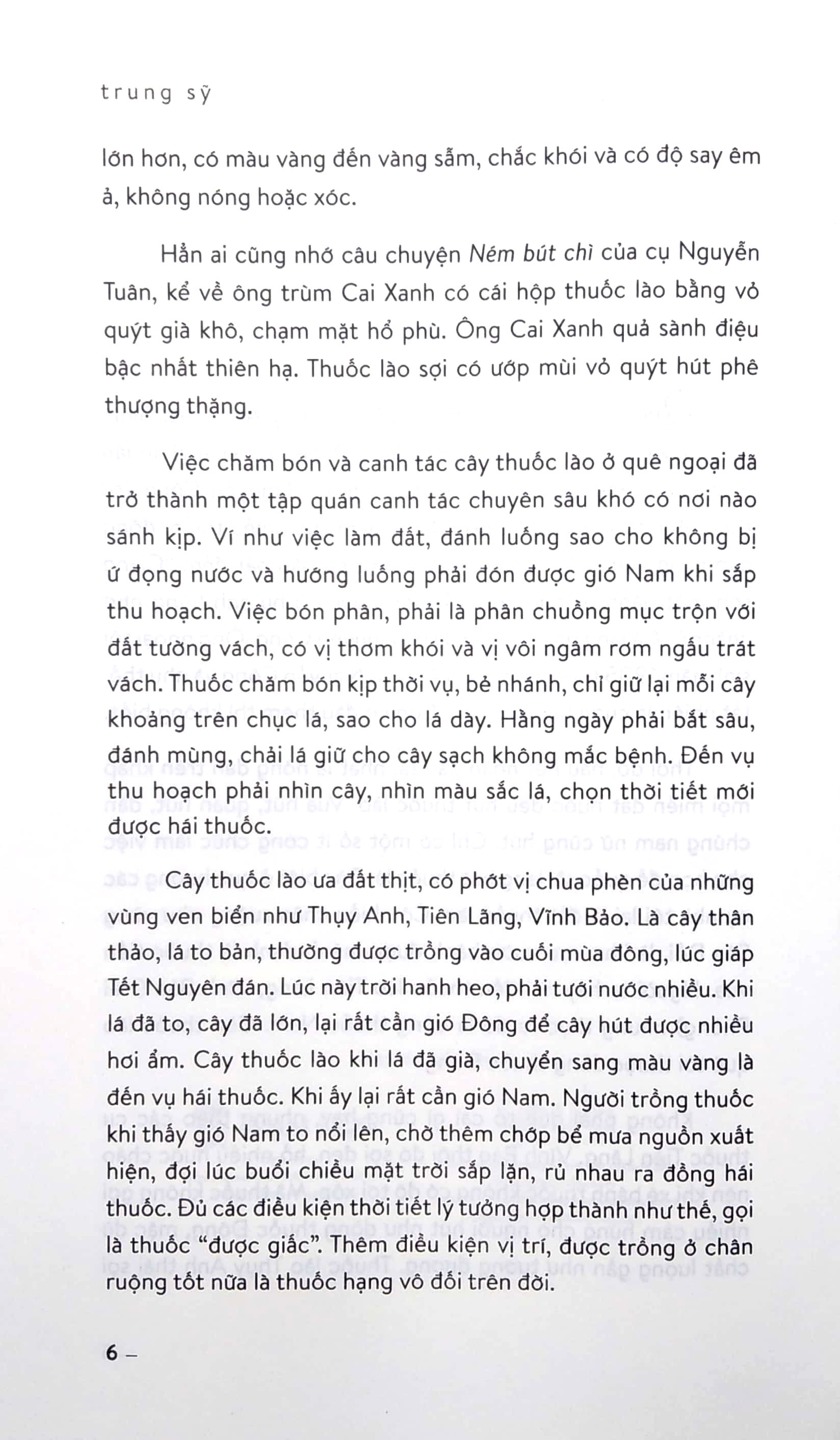 hà nội, mũ rơm và tem phiếu (tái bản 2024) - Ảnh 4